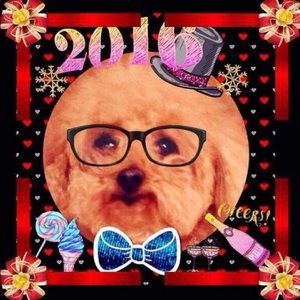 Meet your Posher, Lin